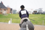 381-Alice.Tollworthy-OUR.DOLPHIN.STAR portfolio