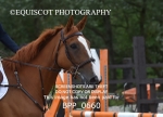 BPP_0660