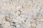 250420A-102140-00331