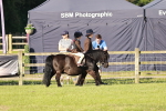 SBM_10982