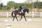 SBM_007323