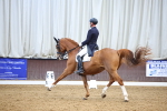 SBM_008946