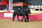 SBM_18425