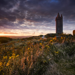 Sunset at Scrabo Tower