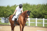 SBM_007987