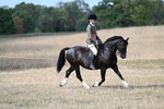 WJ7_7612