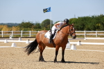 SBM_012611