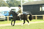 SBM_68254