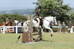 Class 19: Working Hunter 60cm portfolio
