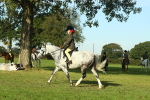 SBM_59216