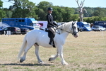 WJ6_8263
