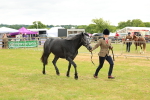 SBM_04077