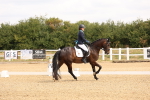 SBM_000296