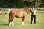 SBM_10448