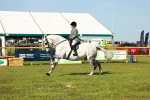 SBM_11790