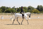 SBM_003445