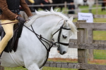SBM_08468
