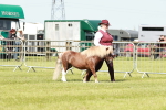 SBM_01950