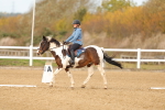 SBM_000751