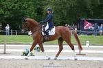 312-DALOUBET_MANSOLEIN_Z-Kat_Raybould portfolio