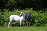 WJ7_2767