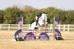 SBM_03870