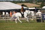 SBM_09656