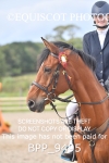 BPP_9495