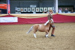 SBM_16075