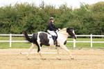 SBM_003526