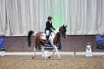 SBM_014133