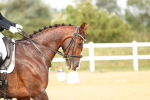 SBM_018450
