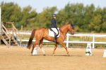 SBM_010667
