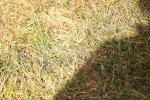 SBM_13059