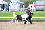 SBM_00222