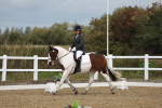 SBM_000992