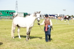 SBM_01720