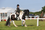 Class 27:  Ridden Native/Trad Coloured Horse portfolio