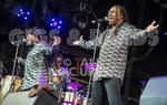 EARTH WIND & FIRE EXPERIENCE feat. AL McKAY portfolio