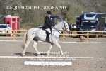 BPP_8478