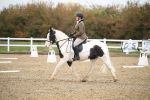 SBM_001736