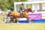 Class 79-80 - LIHS BSHA Rising Star Ridden Hunter portfolio