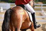 SBM_008177