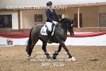BPP_9236