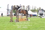 BPP_6604