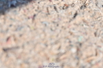 230520A-093930-01651