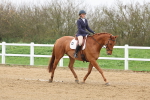 SBM_002585