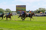 300526-Race 1-Forest Phoenix-0215