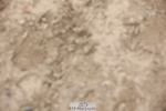 240822X-121912-04447