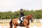 SBM_006480